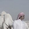_hadi426