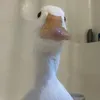 quack_d_duck