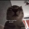 iuanhmh