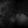 .5.h1