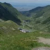 irinagrama0