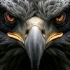 denatap97gmail.com
