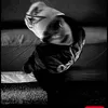 tamia_hfr