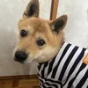 usersfcuitx6em