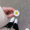 farida.snowy