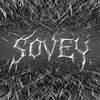 soveytv