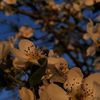 js_7977