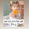 amhussein391