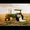 JHMillerfarms