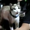 maryyyyyy_0623
