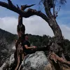 qi.project