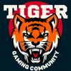 ctiger_303