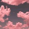 منويه 🧚‍♀️💕⚡️