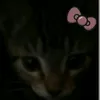 ldmsxml