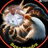 hendra12038