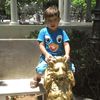 davi_4223