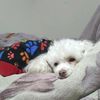 cristyna_306
