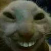 nontakansrimanee