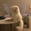 .isa_8