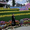 bichdao45