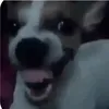 yyyy9999999