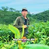 hoconbuongbinh2