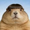 andyvieiloncle