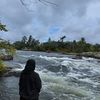 javy_spamz15