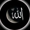 alquranalkarimmm