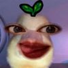 sftmq_
