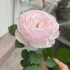 thuongnguyenthith28