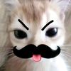 qurtswr_