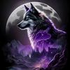 night_wolff55