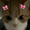 czariiiinaa