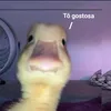 lifa_sx