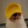 sheldonxanthaloki