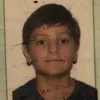 pp_olie