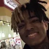 insdavid2