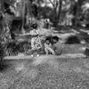 mak_hewir