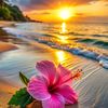 sokhna_ameenah