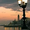 antoniomilella776