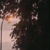 firzadwind4