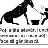 despinavasileantal