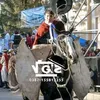 gonelizaldes13