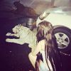 aleaa_s2