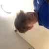 ayden_szn