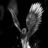 angel03_s