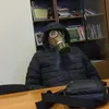 djzhbs