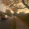 elizabethg22309