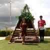 jhelliana20